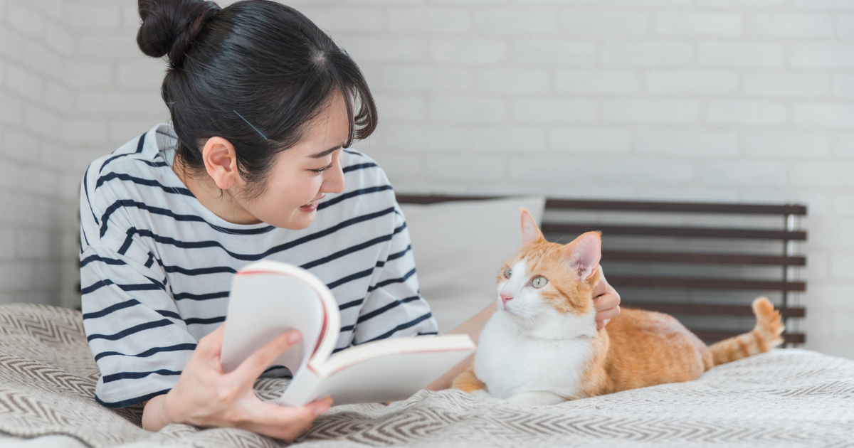 猫の飼育は大変って本当？初めて猫を飼う前に知っておくべきこと-00