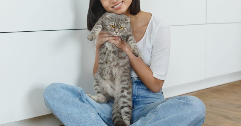 猫の抱き方完全ガイド | 正しい方法とNGポイントを専門的に徹底解説 | ねこめし処 - SMILE WITH CATS