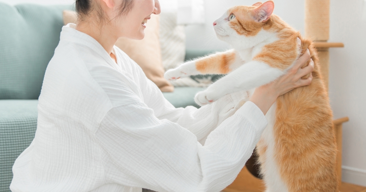 一人暮らしで猫を飼って大丈夫？後悔しない飼い方と準備を詳しく解説-17