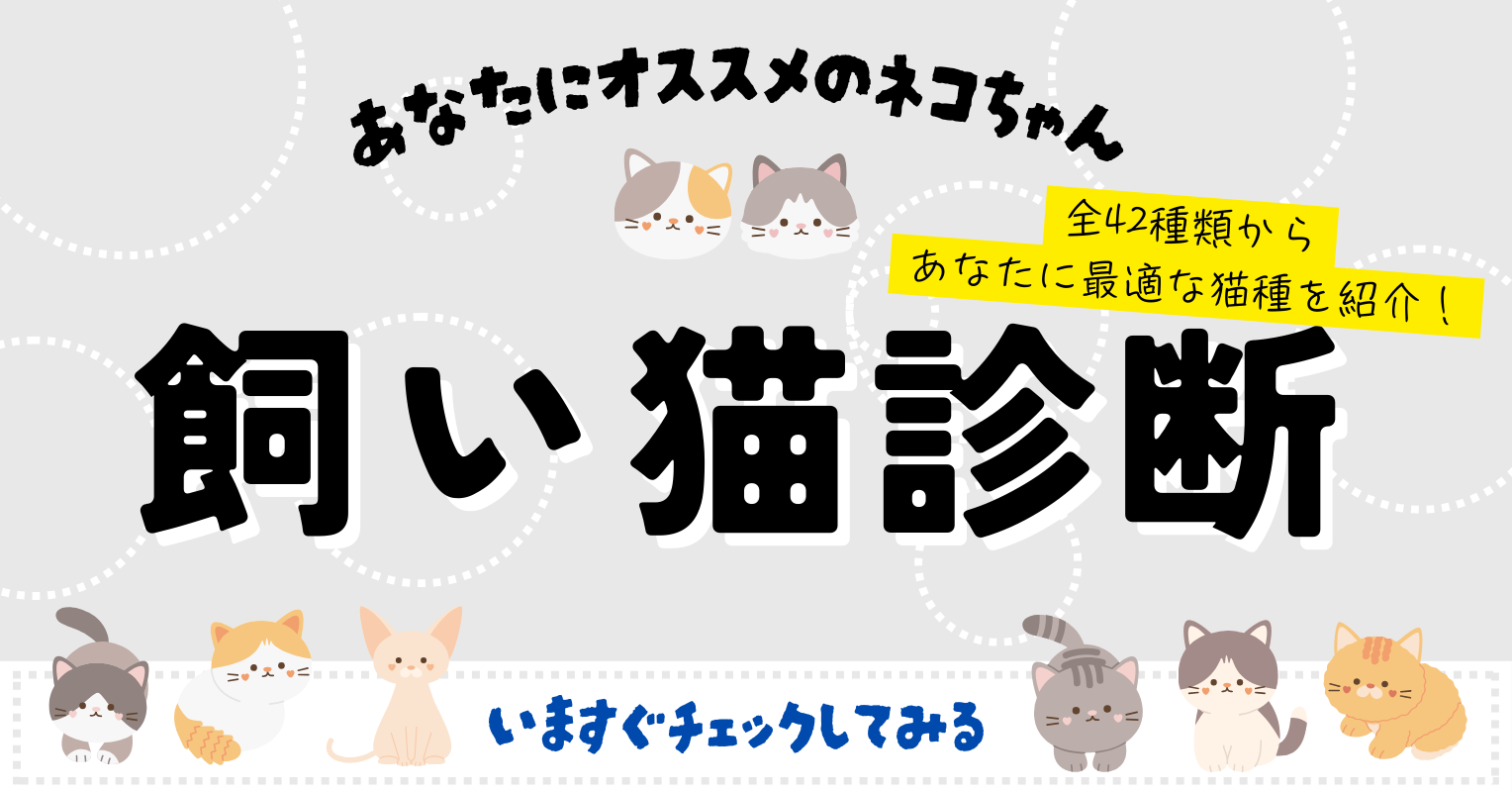 あなたにおすすめの飼い猫の種類診断_記事下