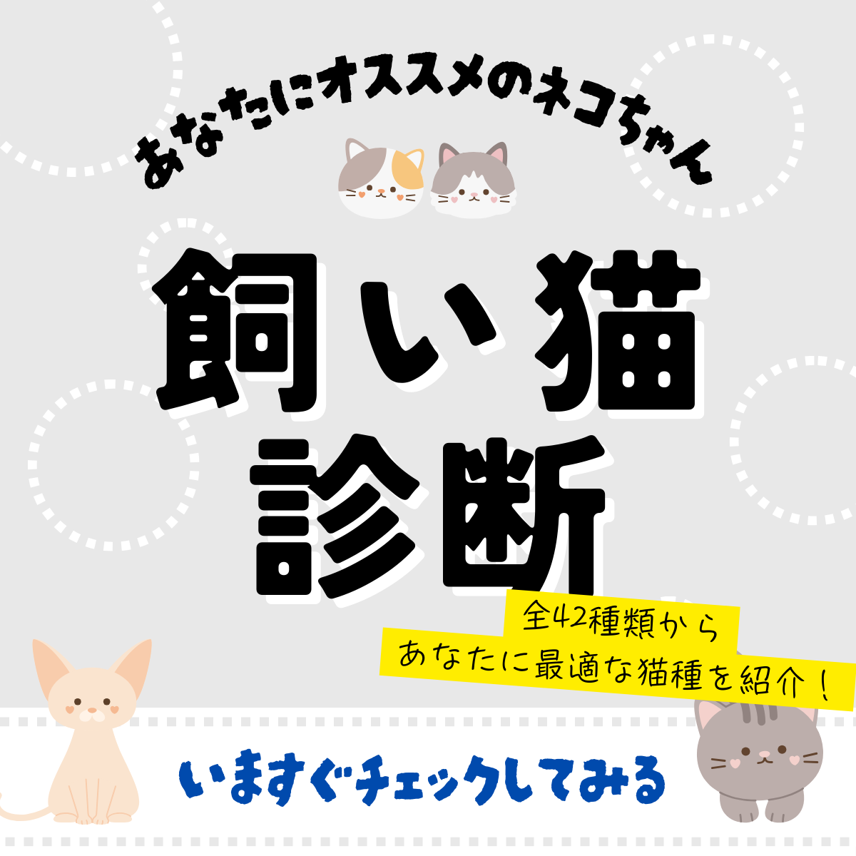 猫種診断